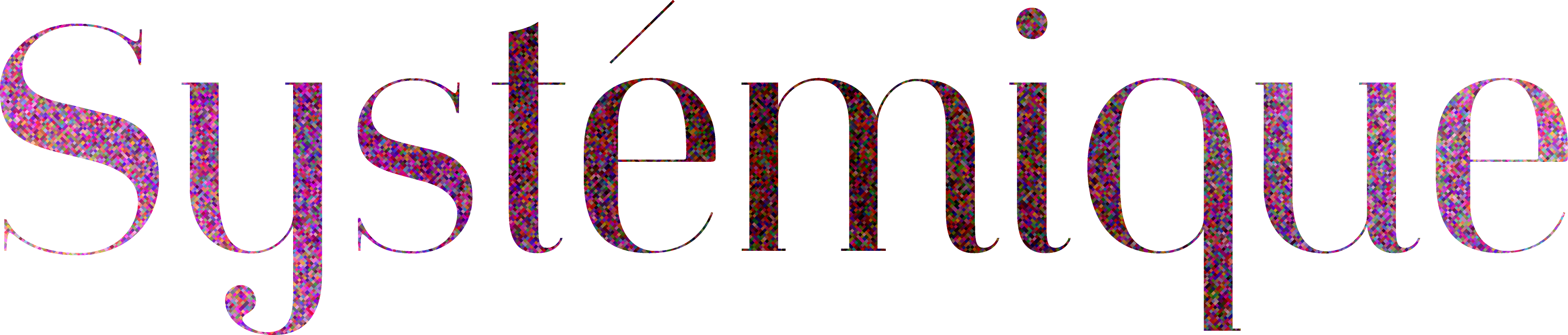 Systemique logo - Systemisch werk en coaching Castricum